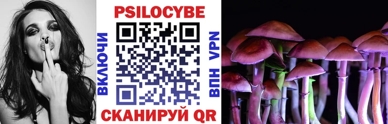 Псилоцибиновые грибы Magic Shrooms  купить наркотик  ссылка на мегу зеркало  Амурск 